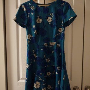 JCrew Silk Dress